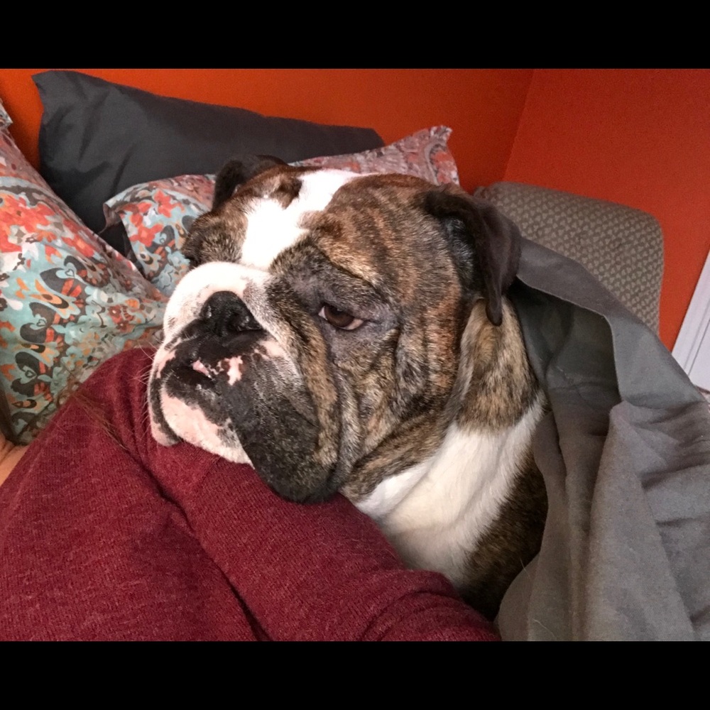 Meet your Posher, Allison